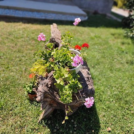 Villa Karolina أوهغيد المظهر الخارجي الصورة