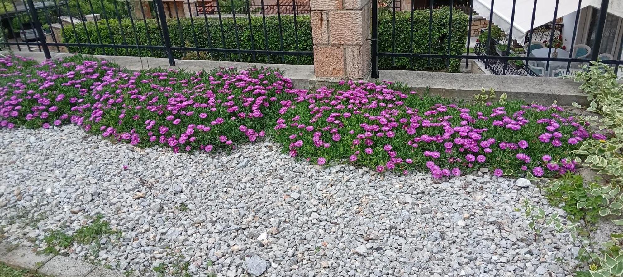 Villa Karolina أوهغيد المظهر الخارجي الصورة